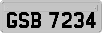 GSB7234