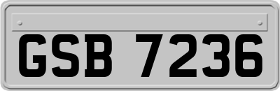 GSB7236