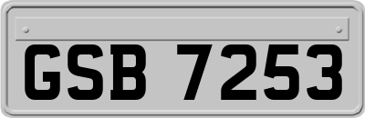 GSB7253
