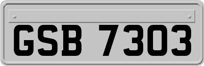 GSB7303