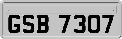 GSB7307