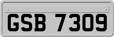 GSB7309
