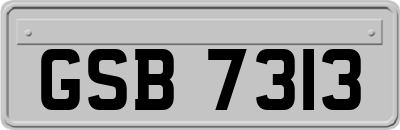 GSB7313
