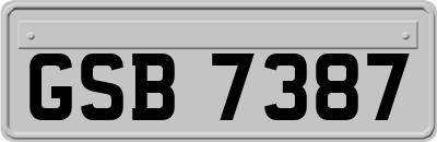 GSB7387