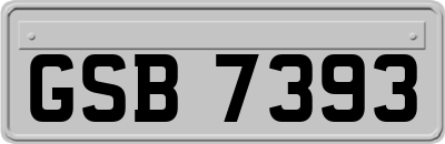 GSB7393