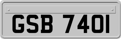 GSB7401