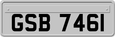 GSB7461