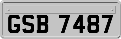 GSB7487