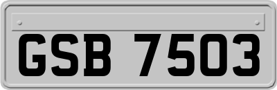 GSB7503