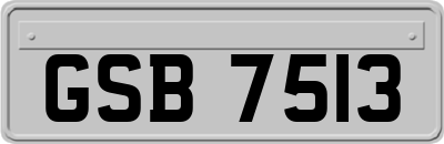 GSB7513
