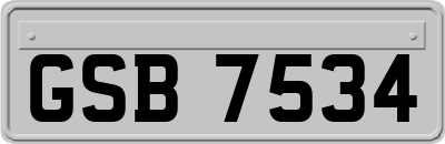 GSB7534