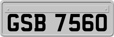 GSB7560