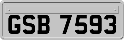 GSB7593