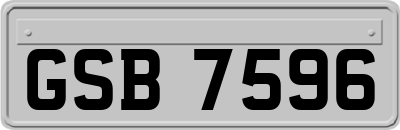GSB7596