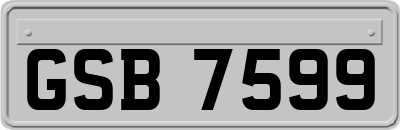 GSB7599