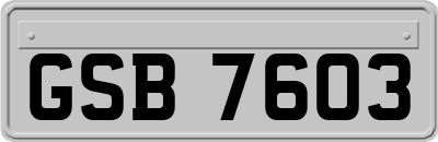 GSB7603