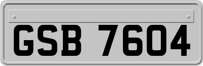 GSB7604