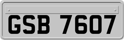 GSB7607