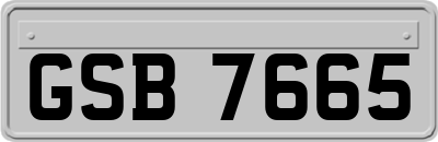 GSB7665