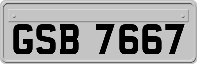 GSB7667