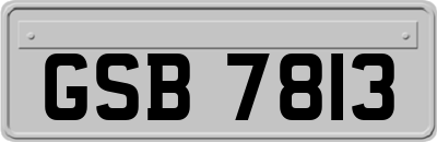 GSB7813