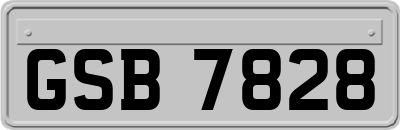 GSB7828