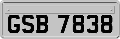 GSB7838