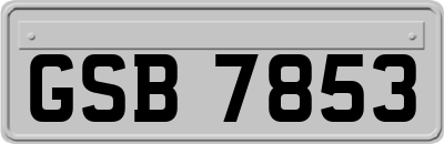 GSB7853