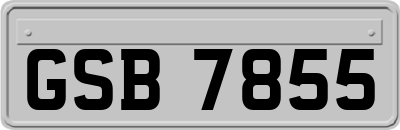 GSB7855