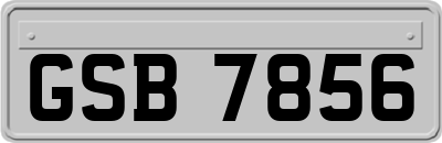 GSB7856