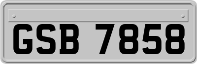 GSB7858
