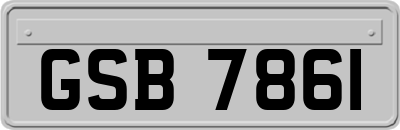 GSB7861