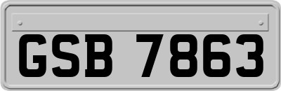 GSB7863