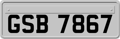 GSB7867