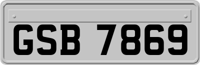 GSB7869