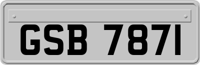 GSB7871