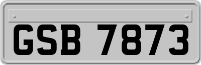 GSB7873