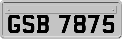 GSB7875
