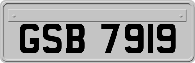 GSB7919