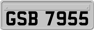 GSB7955