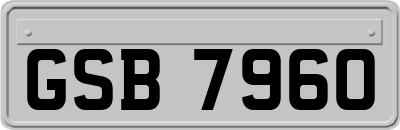 GSB7960