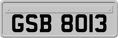 GSB8013