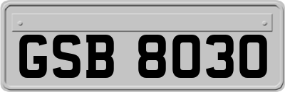 GSB8030