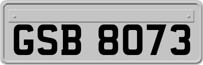GSB8073