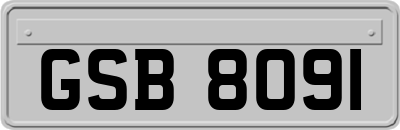 GSB8091