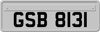 GSB8131
