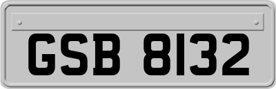 GSB8132