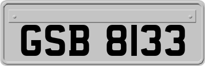 GSB8133