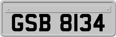 GSB8134