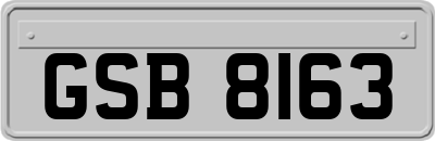 GSB8163